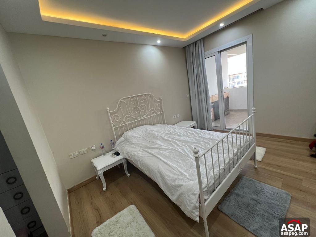 Furnished Apartment for Rent in Hyde Park