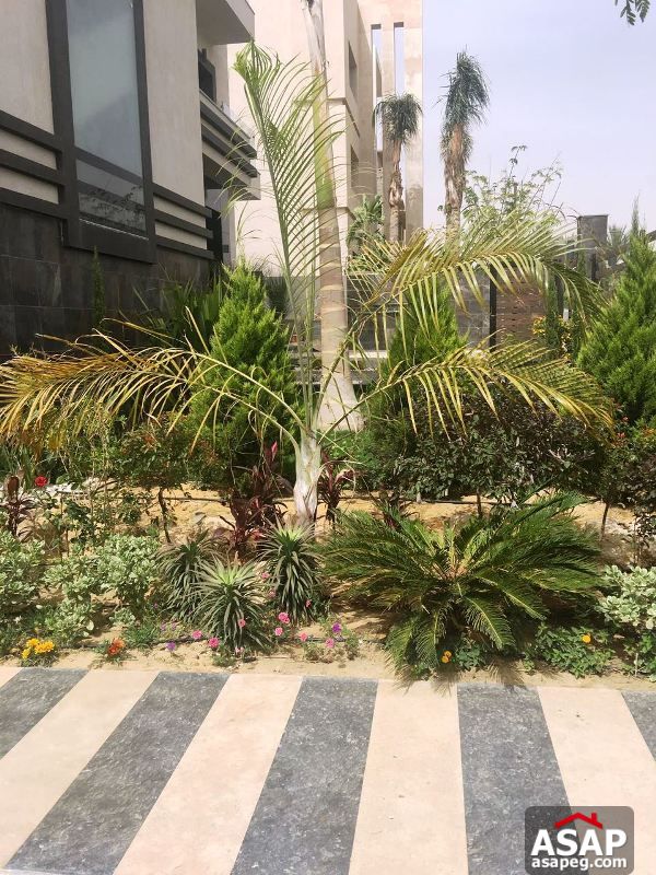 Duplex with Pool for Rent in Katameya Dunes Duplex with Pool for Rent in Katameya Dunes