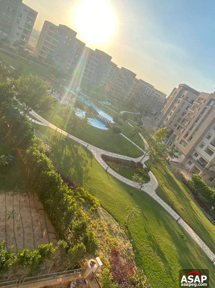 Rent Semi Furnished Apartment in New Cairo Rent Semi Furnished Apartment in New Cairo