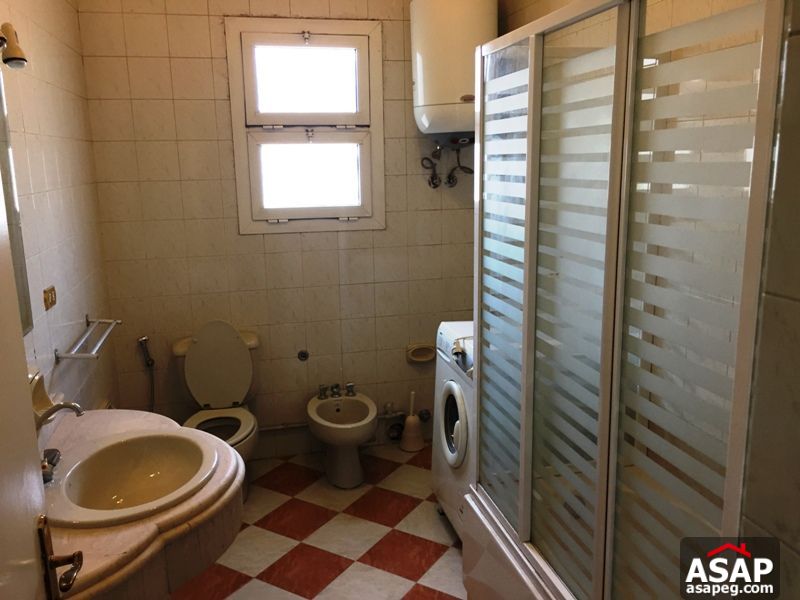 Apartment for Rent in Zamalek Apartment for Rent in Zamalek