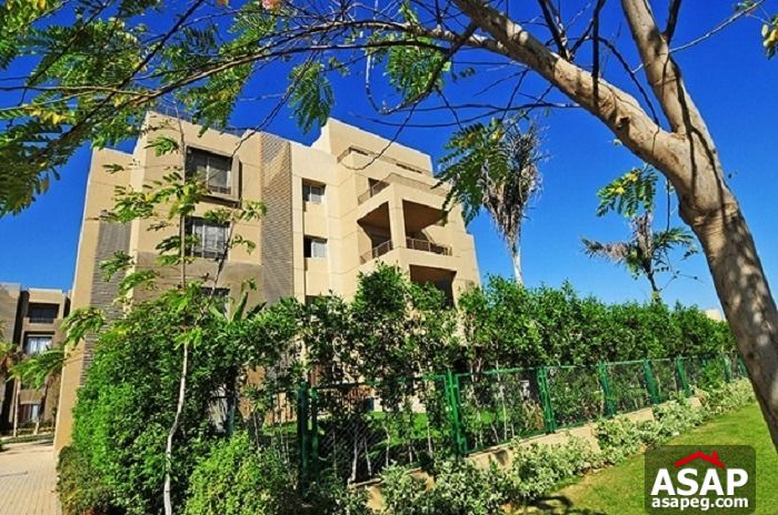 Apartment for Sale in Palm Parks Compound Apartment for Sale in Palm Parks Compound