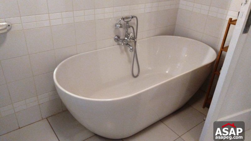 Apartment for rent in zamalek