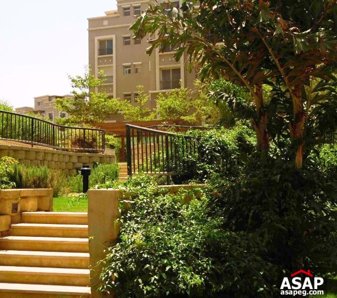 Furnished Apartment for Rent in Katameya Plaza Furnished Apartment for Rent in Katameya Plaza