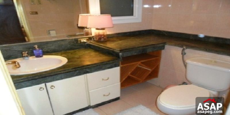 Apartment for Rent in Dokki Apartment for Rent in Dokki