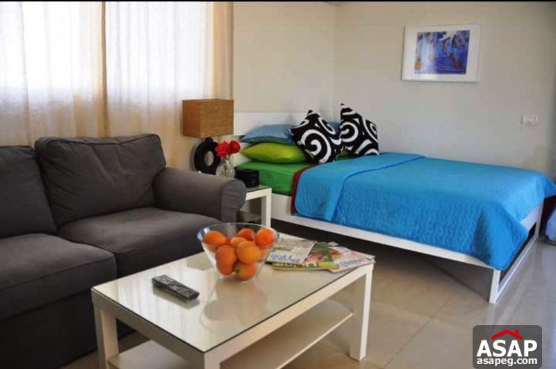 Studio for Rent in Chouifat - New Cairo Studio for Rent in Chouifat - New Cairo