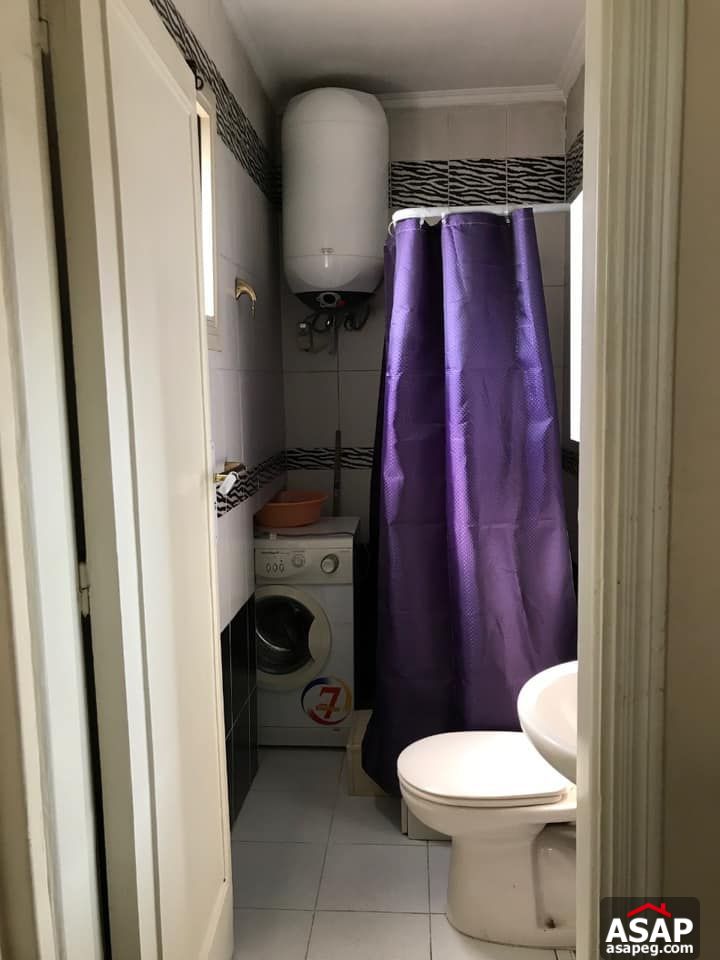 Apartment for Rent in Zamalek Apartment for Rent in Zamalek