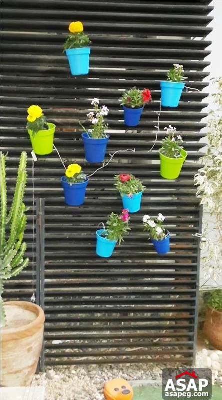 Studio with Garden in Mirage Residence for Rent Studio with Garden in Mirage Residence for Rent