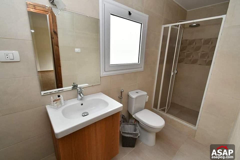 Apartment for Rent in Zamalek Apartment for Rent in Zamalek