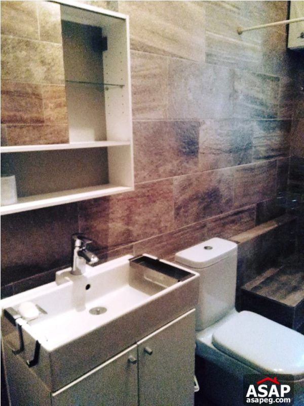 Apartment for Rent in Zamalek Apartment for Rent in Zamalek