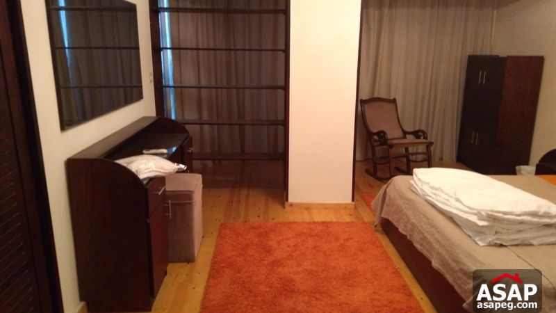 Apartment for Rent in Zamalek Apartment for Rent in Zamalek