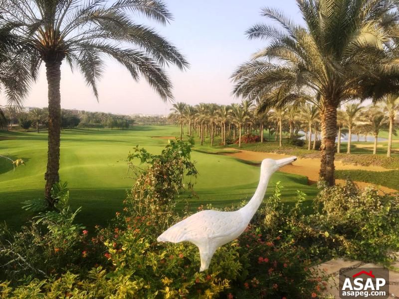 Villa with Golf View in Katameya Dunes Compound