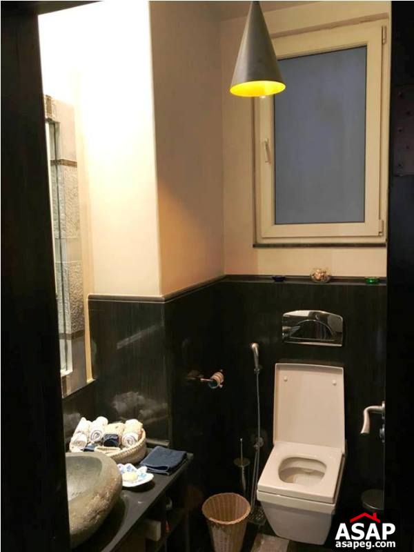 Furnished Apartment for Rent in Zamalek