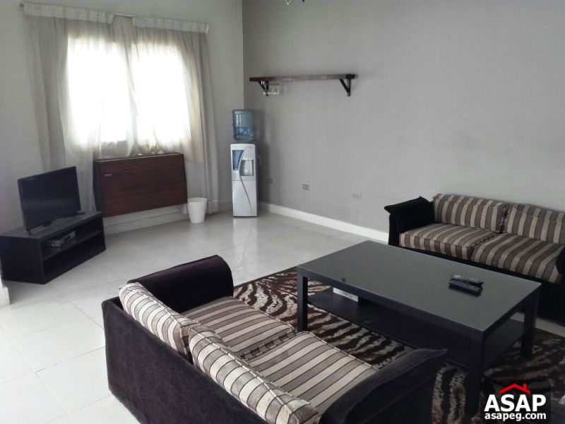 Furnished Apartment for rent in Mohandiseen
