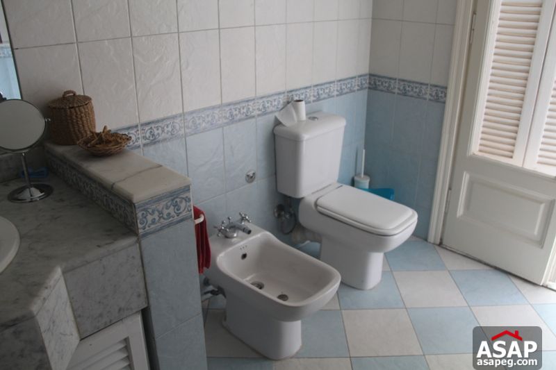 Apartment for rent in zamalek Apartment for rent in zamalek