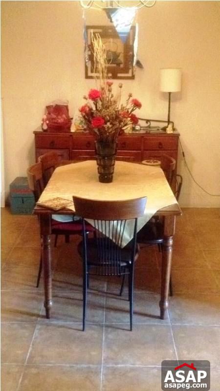 Apartment for Rent in Zamalek