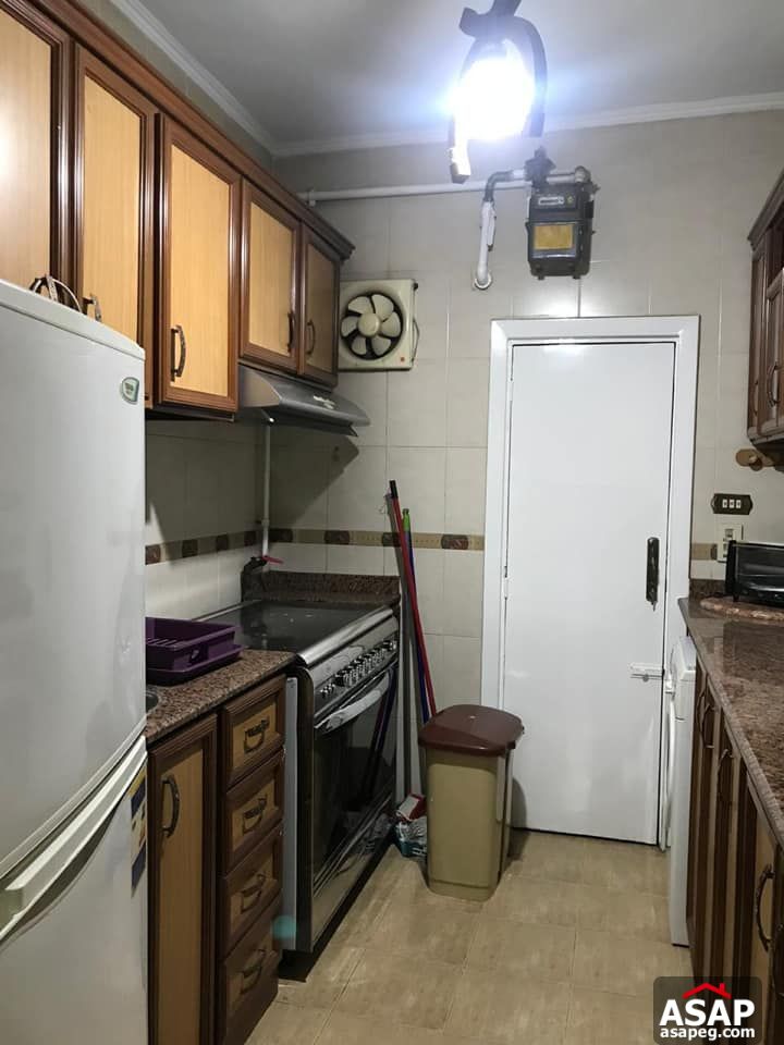 Apartment for Rent in Zamalek Apartment for Rent in Zamalek