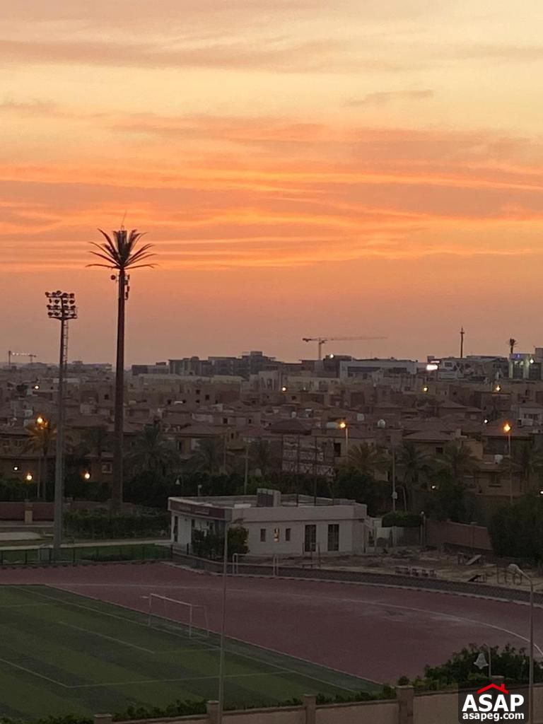 Apartment for Rent in the Village Palm Hills Apartment for Rent in the Village Palm Hills