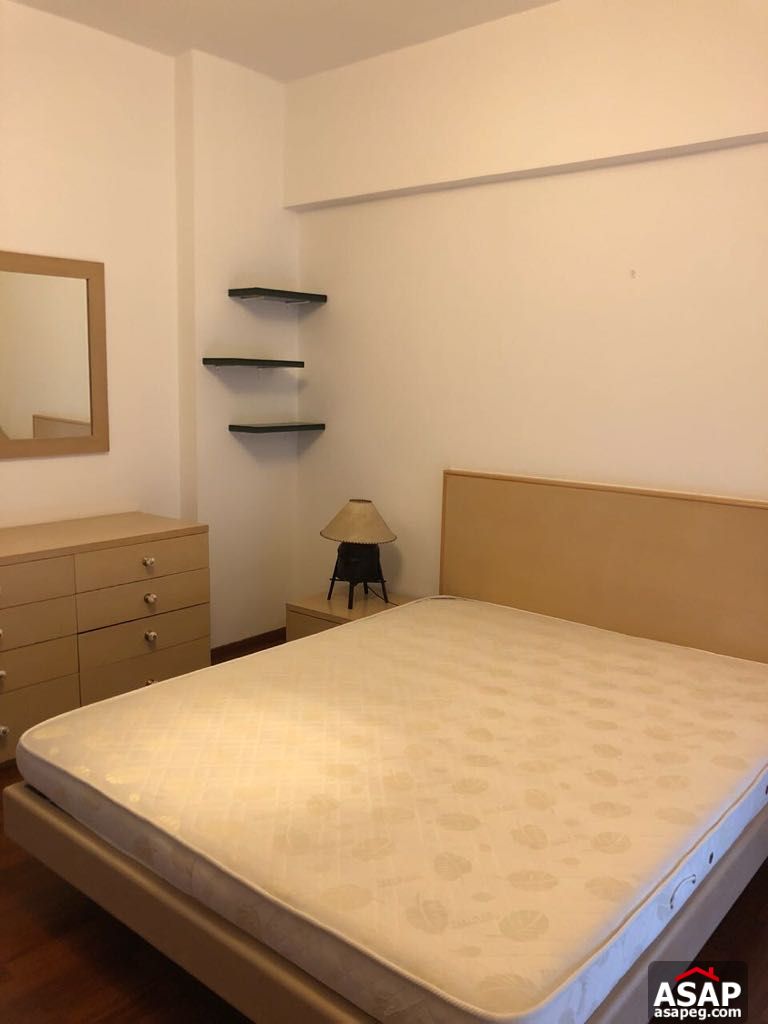 Furnished Apartment for Rent in Zamalek Furnished Apartment for Rent in Zamalek