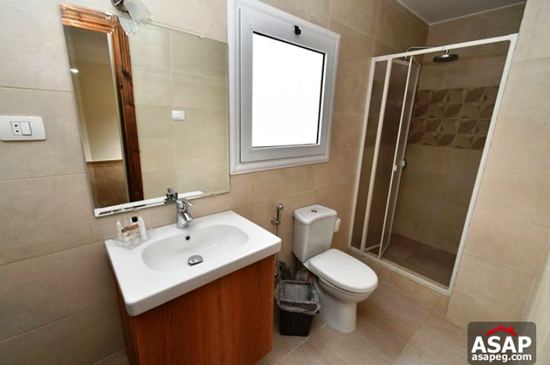 Apartment for Rent in Zamalek Apartment for Rent in Zamalek