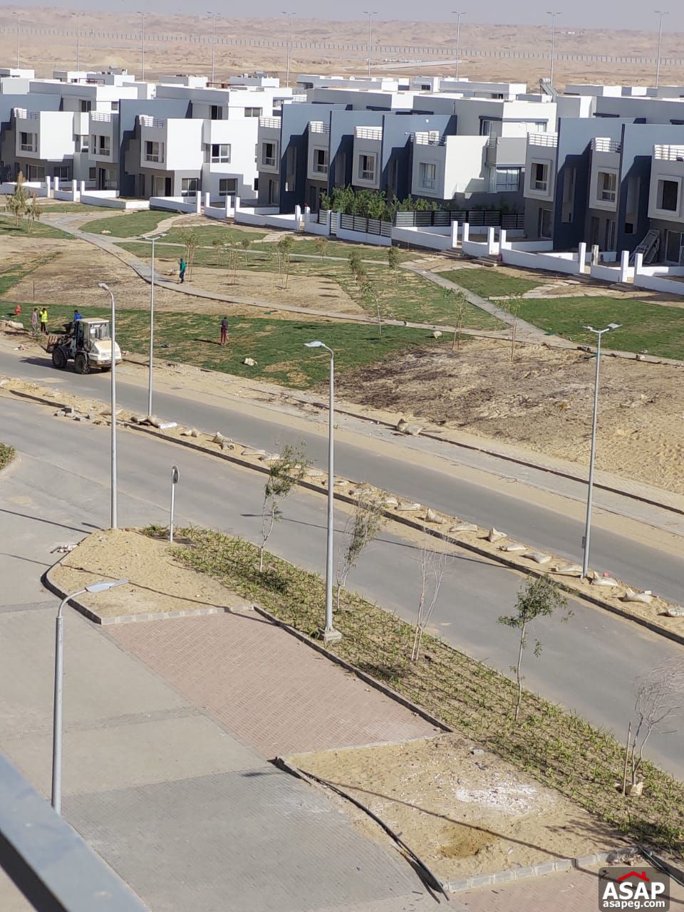 Apartment for Rent in Hyde Park Apartment for Rent in Hyde Park