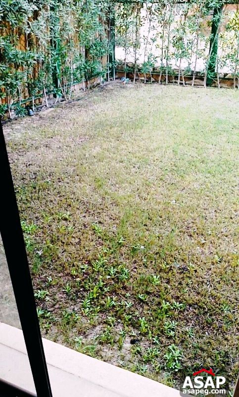 Duplex for Rent in Casa - Sheikh Zayed Duplex for Rent in Casa - Sheikh Zayed