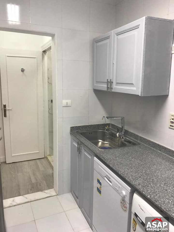 Flats for Rent in Zamalek Flats for Rent in Zamalek