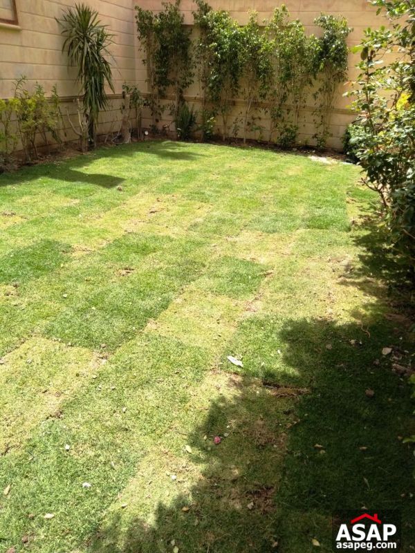 Villa with Pool for Rent in Deplomatic - New Cairo