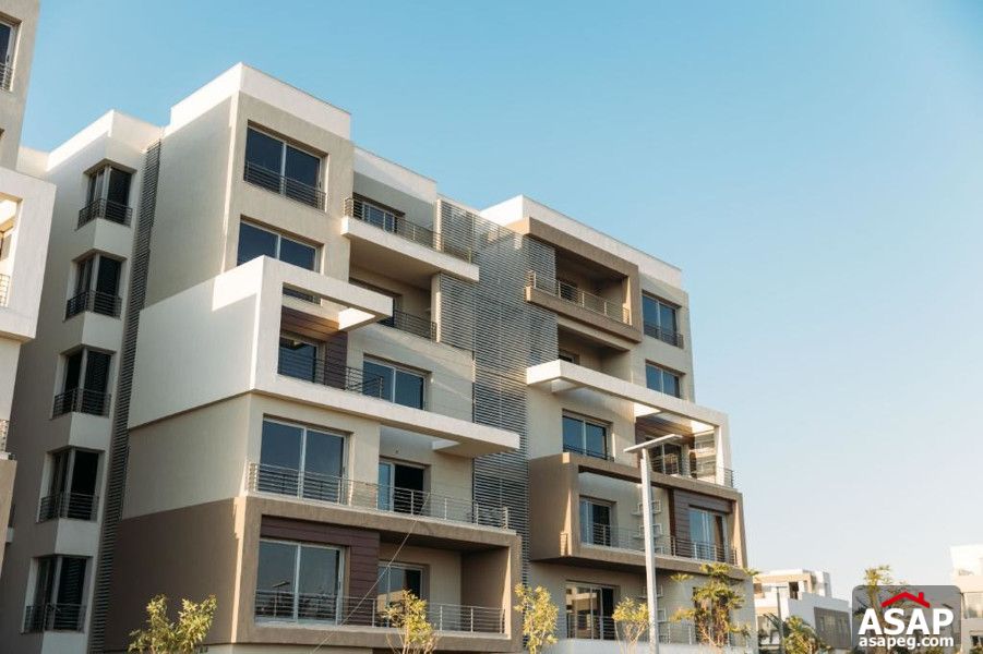 Twin House for Sale in Palm Hills New Cairo Twin House for Sale in Palm Hills New Cairo