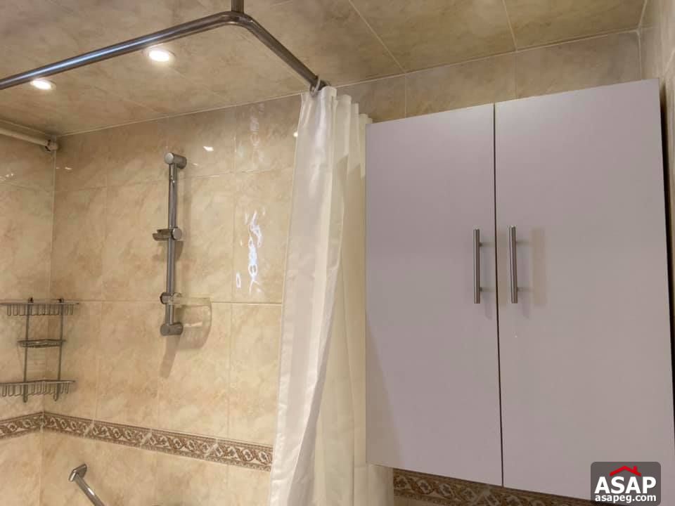 Apartment for Rent in Zamalek Apartment for Rent in Zamalek