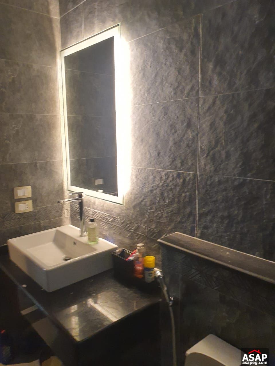 Furnished Ground Floor for Rent in Eastown Furnished Ground Floor for Rent in Eastown