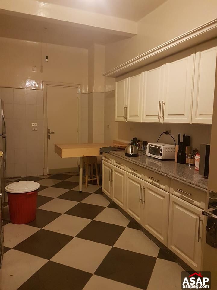 Apartments for Rent in Zamalek Apartments for Rent in Zamalek