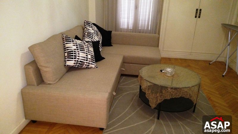 Furnished Apartment with Nile View in Zamalek Furnished Apartment with Nile View in Zamalek