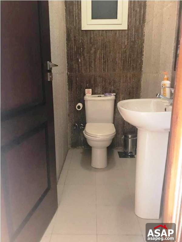 Nice Property in Zamalek for Rent Nice Property in Zamalek for Rent
