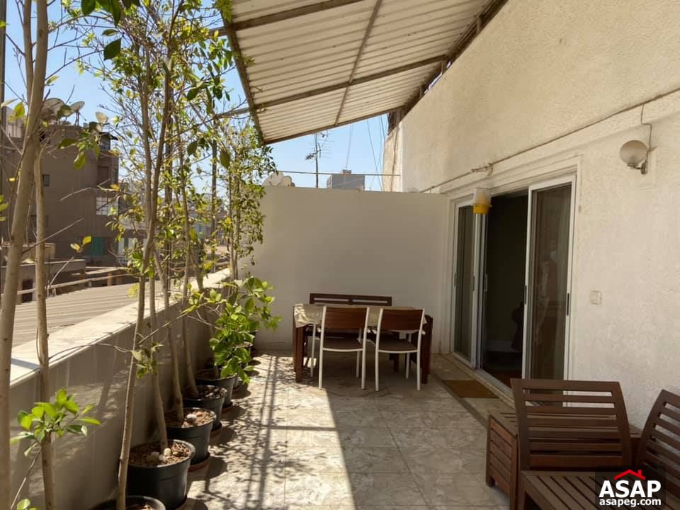 Apartment for Rent in Zamalek Apartment for Rent in Zamalek