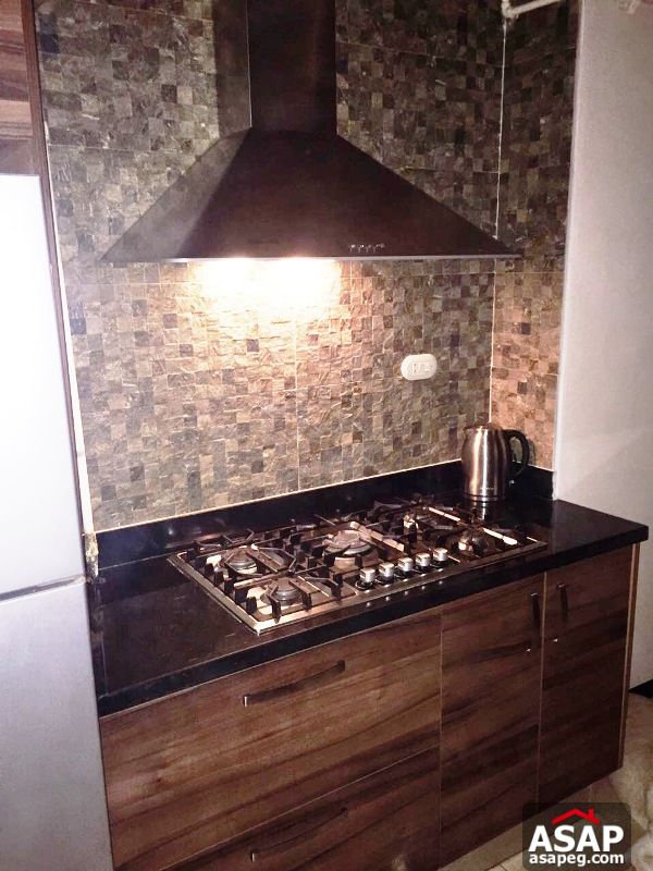 Apartment for rent in zamalek Apartment for rent in zamalek