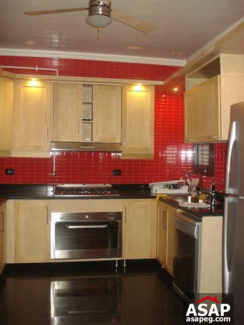 Apartment for Rent in Zamalek Apartment for Rent in Zamalek