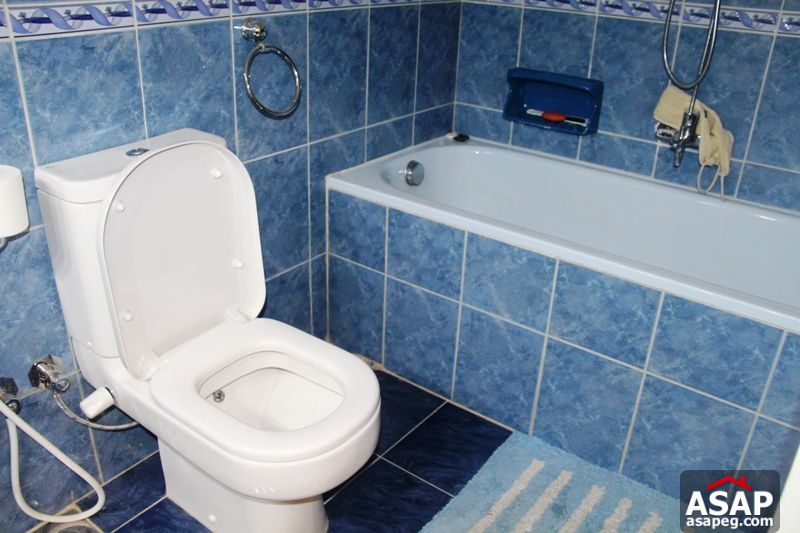 Apartment for rent in zamalek