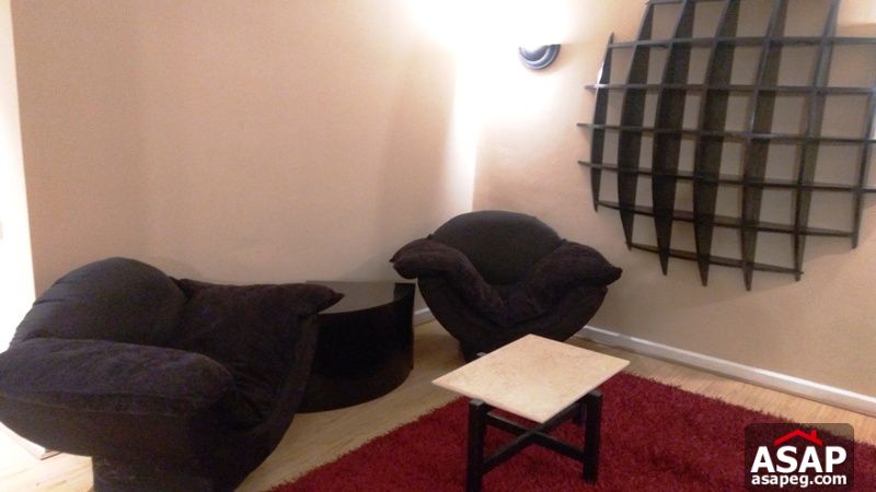 Modern Furnished Apartment for Rent in Mohandiseen