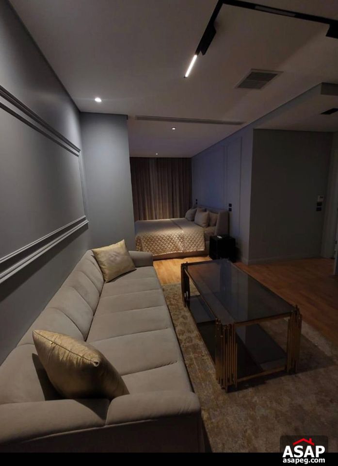 Furnished Apartment for Rent in Lake View Residence