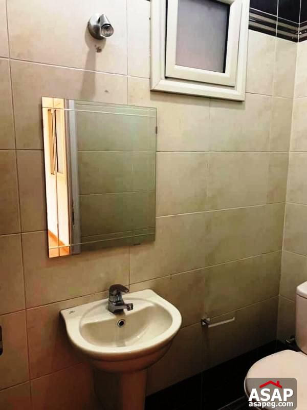 Flat for Rent in Zamalek Flat for Rent in Zamalek