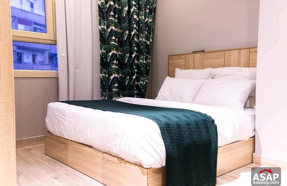 Furnished Flat for Rent in Zamalek Furnished Flat for Rent in Zamalek