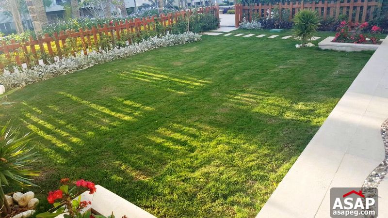 Duplex for Rent in Park View Duplex for Rent in Park View