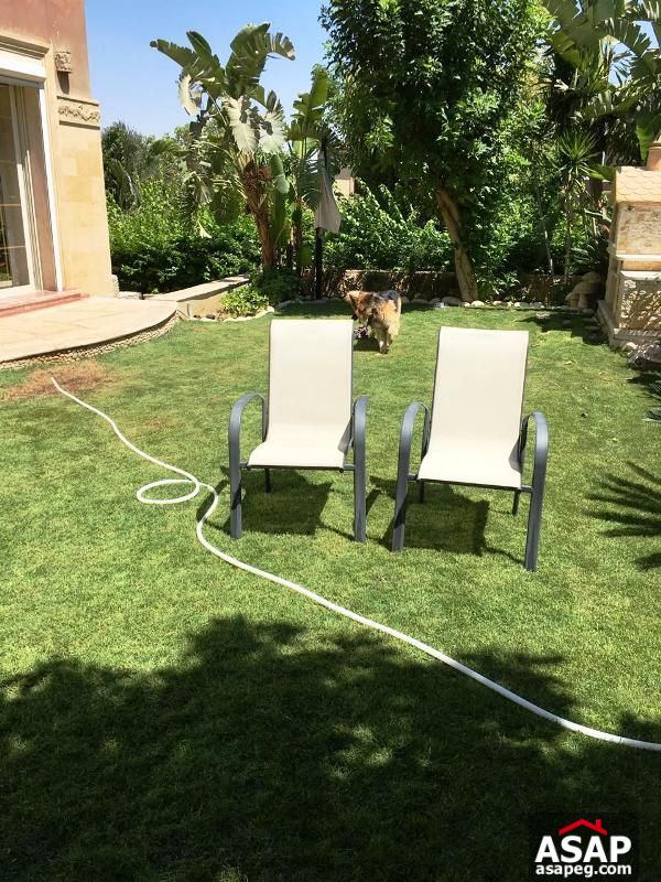 Duplex with Big Garden in Lake View for Rent Duplex with Big Garden in Lake View for Rent