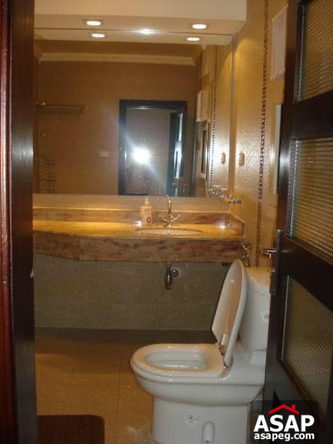 Apartment for Rent in Zamalek Apartment for Rent in Zamalek