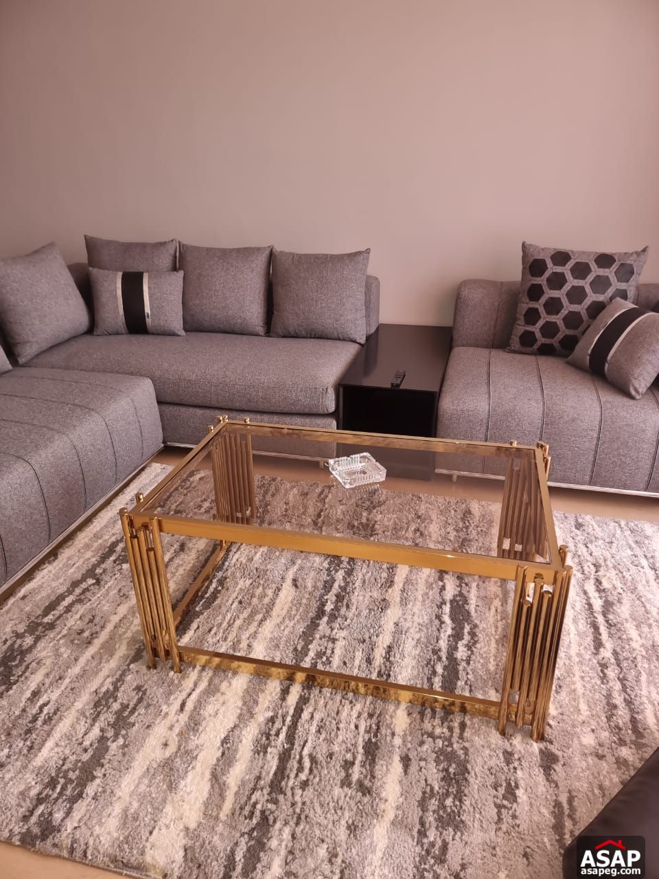 Furnished Apartment for Rent in Cairo Festival City