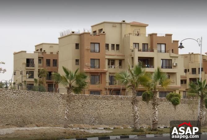 Duplex for Sale in Casa Compound , Sheikh Zayed City Duplex for Sale in Casa Compound , Sheikh Zayed City