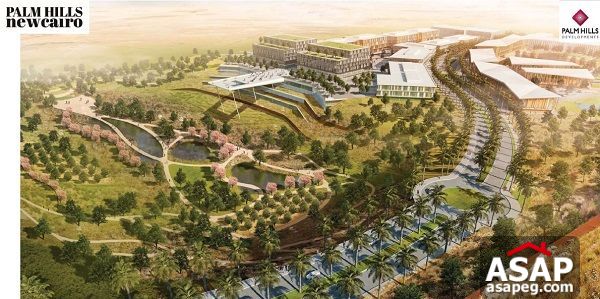 Apartment for sale with Zero DP in Palm Hills