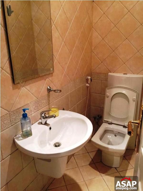 Apartment for Rent in Zamalek Apartment for Rent in Zamalek