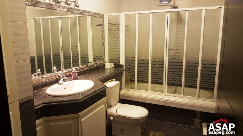 Furnished Apartment with Nile View for Rent in Maadi