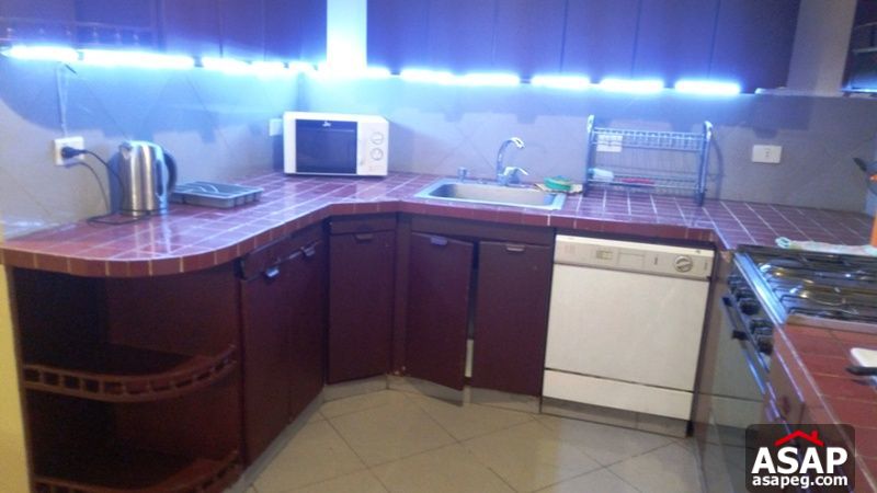 Modern Furnished Apartment for Rent in Mohandiseen